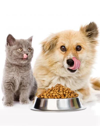 Pet Food Packaging
